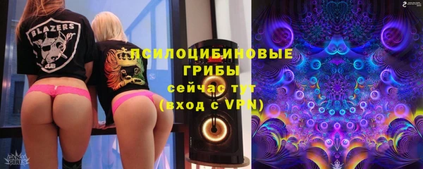 спиды Алексеевка