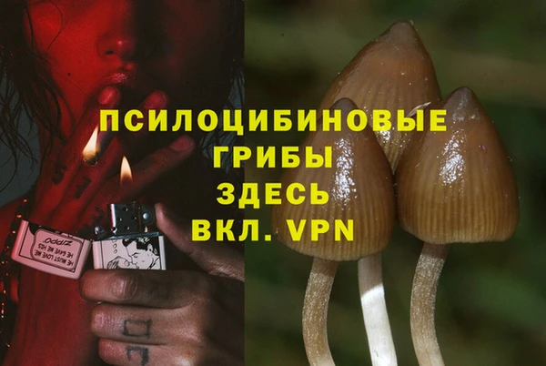 сатива Алексин