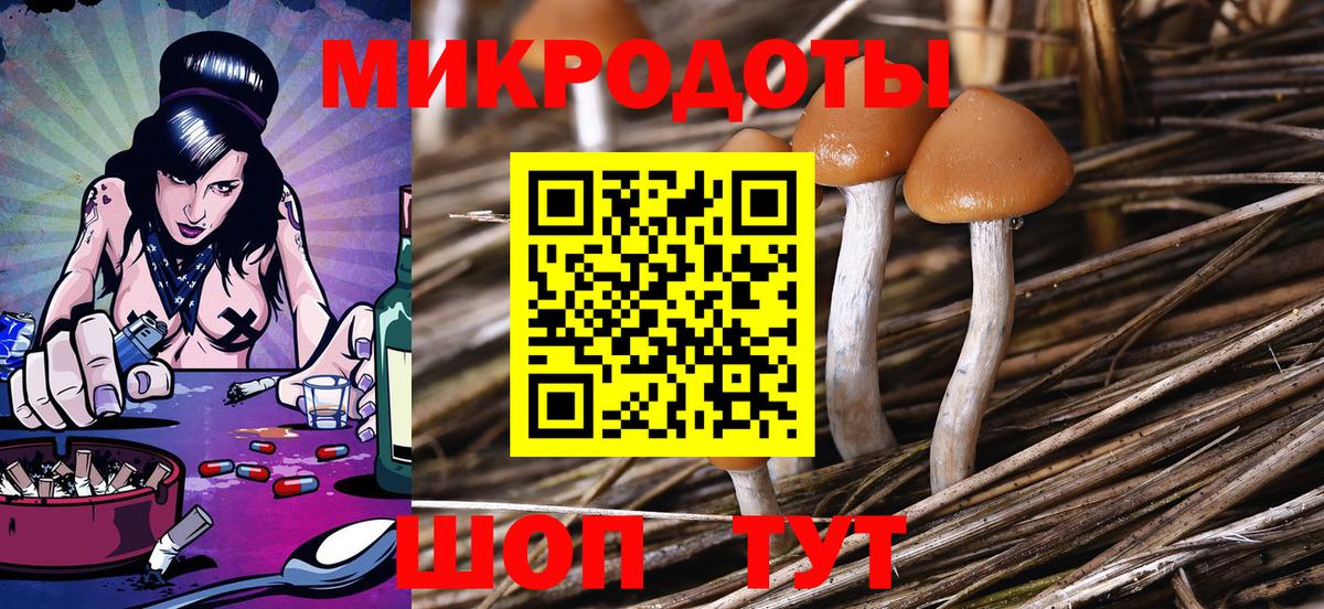 Галлюциногенные грибы Psilocybe  Вход с VPN  Учалы 